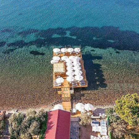 Assosa Hotel Ayvacik エクステリア 写真